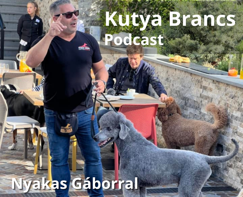 Kutya Brancs Podcast Nyakas Gáborral